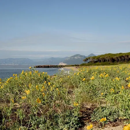 Villa Splendida In Riva Al Mare
