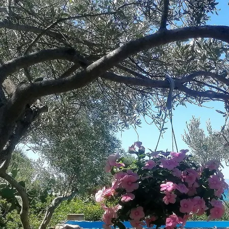 Splendida In Riva Al Mare Villa