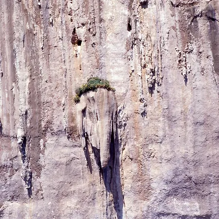 Splendida In Riva Al Mare Villa