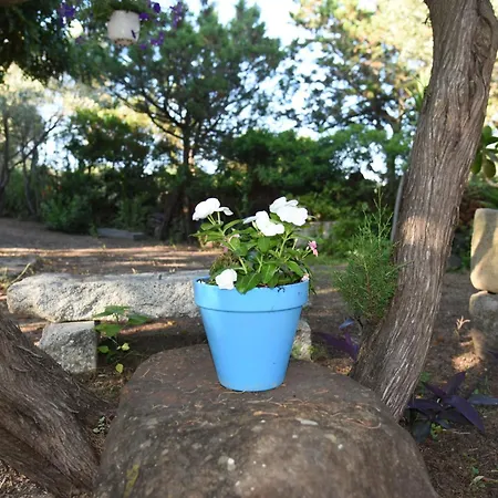 Splendida In Riva Al Mare * Orosei