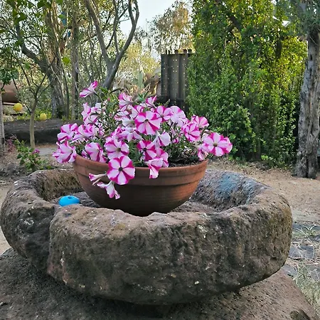 Splendida In Riva Al Mare *