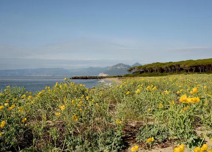 Вилла Splendida In Riva Al Mare