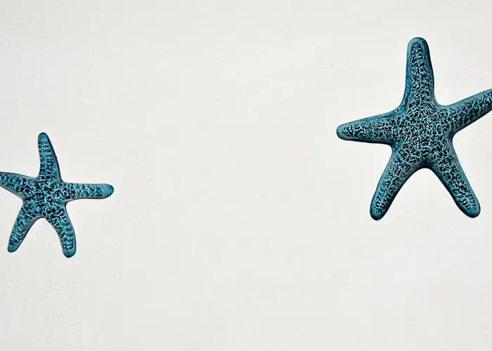 Splendida In Riva Al Mare