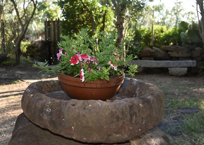 Splendida In Riva Al Mare Орозеи