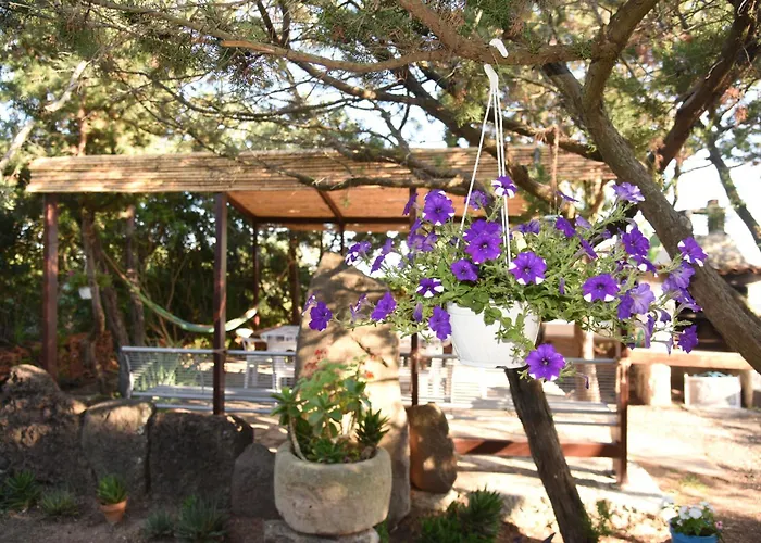 Вилла Splendida In Riva Al Mare *