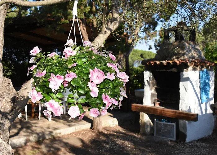 Splendida In Riva Al Mare