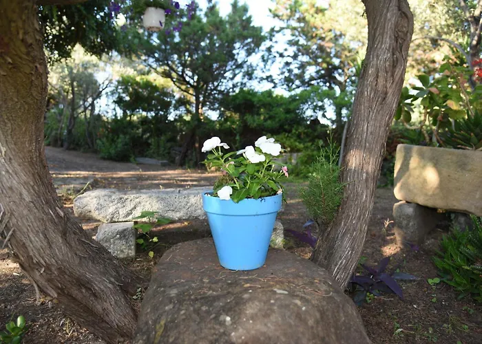 Splendida In Riva Al Mare * Орозеи