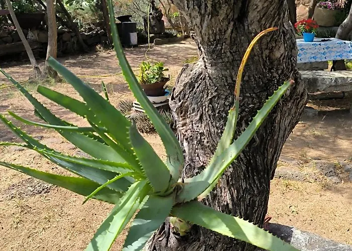 Splendida In Riva Al Mare * Орозеи
