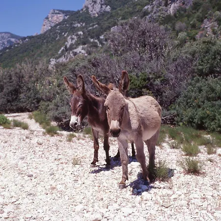 Splendida In Riva Al Mare 빌라 *