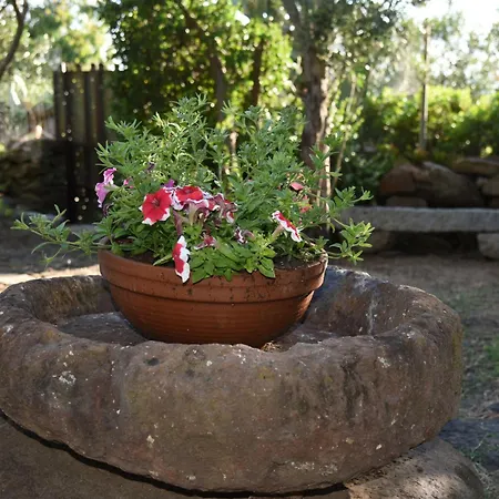 Splendida In Riva Al Mare Orosei