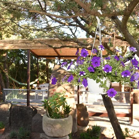 Villa Splendida In Riva Al Mare *