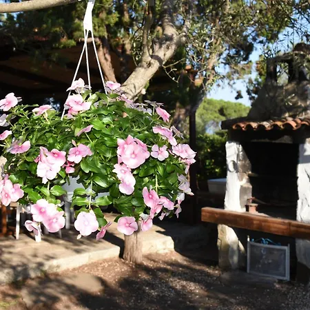 Splendida In Riva Al Mare