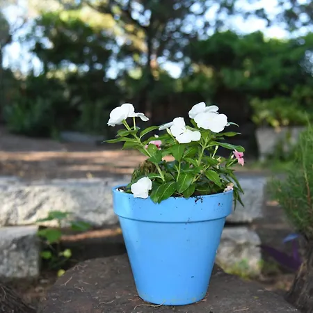 Splendida In Riva Al Mare Villa *