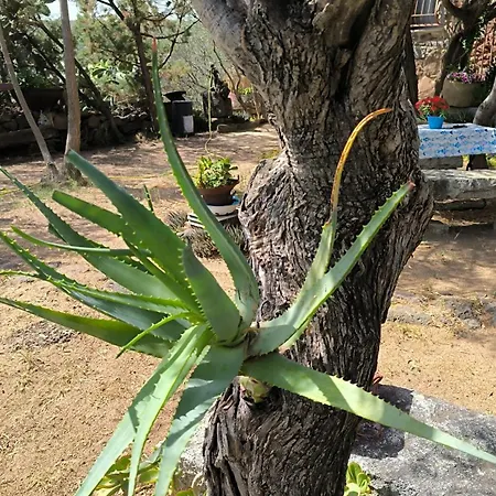 Splendida In Riva Al Mare * Orosei