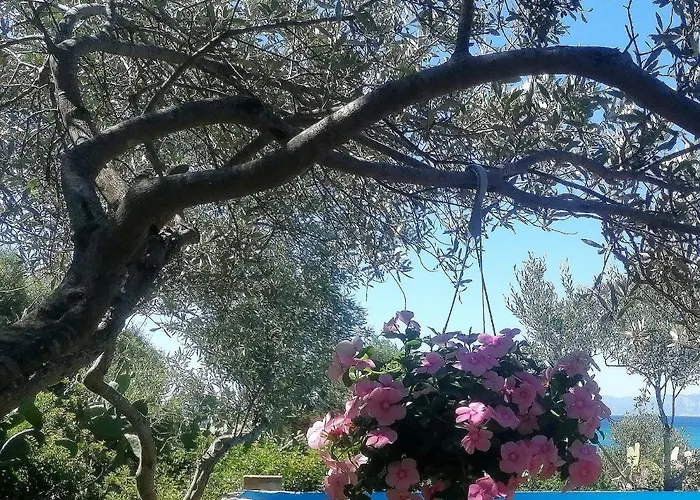 Splendida In Riva Al Mare Villa