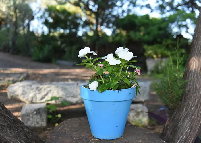 Splendida In Riva Al Mare Villa *