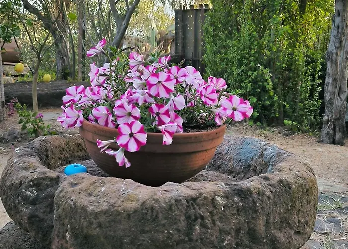 Splendida In Riva Al Mare *